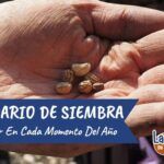 Siembra la primavera en el País Vasco: qué plantar en abril