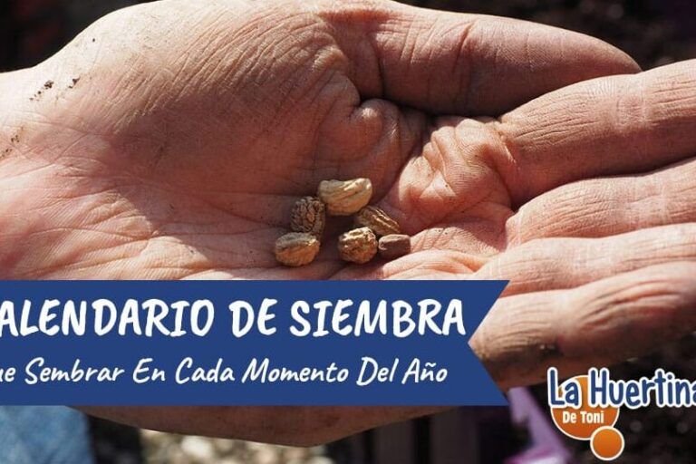 siembra la primavera en el pais vasco que plantar en abril