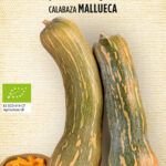 Siembra la primavera en Mallorca: qué plantar en marzo