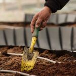 Siembra la primavera en septiembre: qué plantar en Valencia