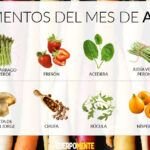 Siembra la primavera en Valencia: qué plantar en abril