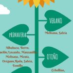 Siembra la primavera: qué cultivar en abril