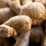 Siembra la salud en tu hogar: aprende cómo plantar jengibre