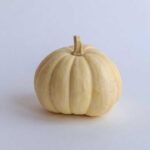 Siembra la semilla de calabaza y cosecha tu propia huerta