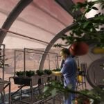 Siembra la semilla del éxito: qué plantar en enero en Barcelona