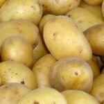 Siembra papas en casa: aprende cómo plantar en agua