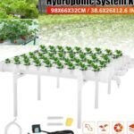 Siembra plantas como un profesional en tubos de PVC