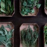 Siembra salud en casa con plantas medicinales