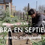Persona agachada preparando una cama elevada en un huerto casero, Siembra en Septiembre: Guía Esencial para Cultivar con Éxito.