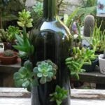 Siembra suculentas en botellas: ¡un jardín en miniatura!