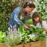 Siembra tu huerta en invierno: plantas ideales para la temporada