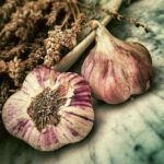 Siembra tu huerta en octubre: descubre qué puedes plantar