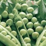 ¡Siembra tu huerto! Las mejores verduras para plantar en mayo y junio