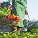 Siembra tu jardín en julio: descubre qué plantar ahora
