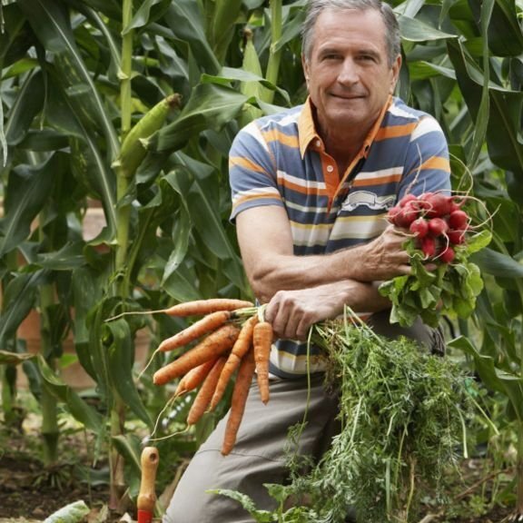 siembra tu propia cosecha que plantar en un huerto urbano