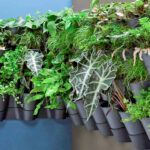 Siembra tu propia planta en casa con este sencillo tutorial