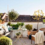 Siembra tu propio cerezo en casa con estos consejos prácticos