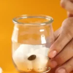 Siembra tu propio frijol en algodón: ¡Aprende cómo!