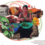 Siembra tu propio mamey: aprende cómo sembrar un hueso en casa