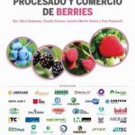 Siembra tus sueños de otoño: Qué plantar en noviembre en Andalucía