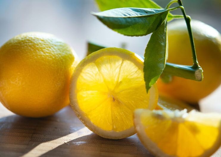 siembra un limon sin semilla en casa descubre como