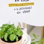 Siembra una huerta en casa: plantas comestibles en macetas