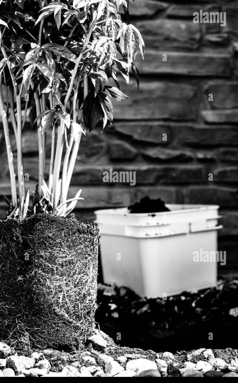 siembra vida en botellas de vidrio guia practica de jardineria