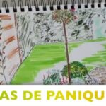 Cuaderno abierto con boceto de jardín y persona sonriente junto al diseño, ¡Secreto para plantar silenes en tu jardín!