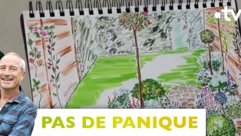¡Secreto para plantar silenes en tu jardín!
