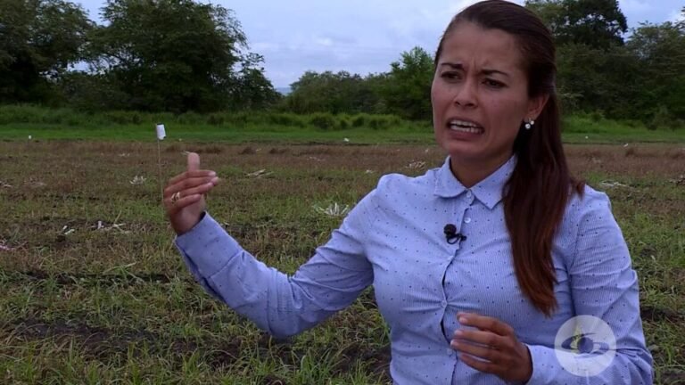 suelos drenados