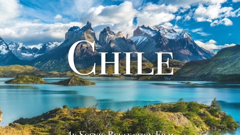 Guía Completa: Qué se Puede Plantar en Verano en el Sur de Chile