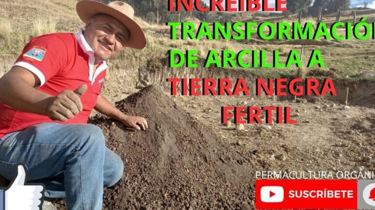 Descubre qué se puede plantar en tierra arcillosa: Guía completa