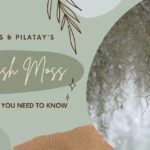 Guía completa para plantar Tillandsia Usneoides como un experto, musgo español colgante sobre un fondo verde en diseño gráfico
