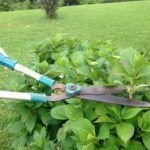 Todo lo que debes saber sobre las hachas de poda para tus labores de jardinería