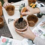 Todo lo que necesitas saber para sembrar y cultivar tus propias plantas aromáticas desde semillas