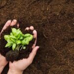 Todo lo que necesitas saber sobre los compostadores: Guía completa para comenzar a compostar en casa