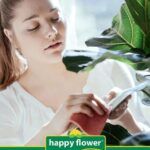 Todo lo que necesitas saber sobre los tutores para plantas: tipos, materiales y cómo utilizarlos correctamente