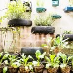Tomates colgantes: cultiva tus propios tomates en botellas de plástico