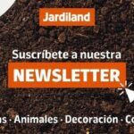 Transforma tu hogar con un jardín floreciente: ¡Descubre qué plantar!