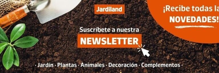 transforma tu hogar con un jardin floreciente descubre que plantar
