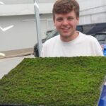 Transforma tu pared con musgo: guía para sembrar fácilmente