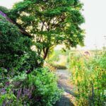 Transforma tu terraza en un jardín urbano con estas ideas de plantas
