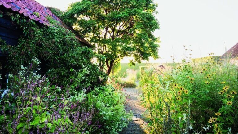 transforma tu terraza en un jardin urbano con estas ideas de plantas