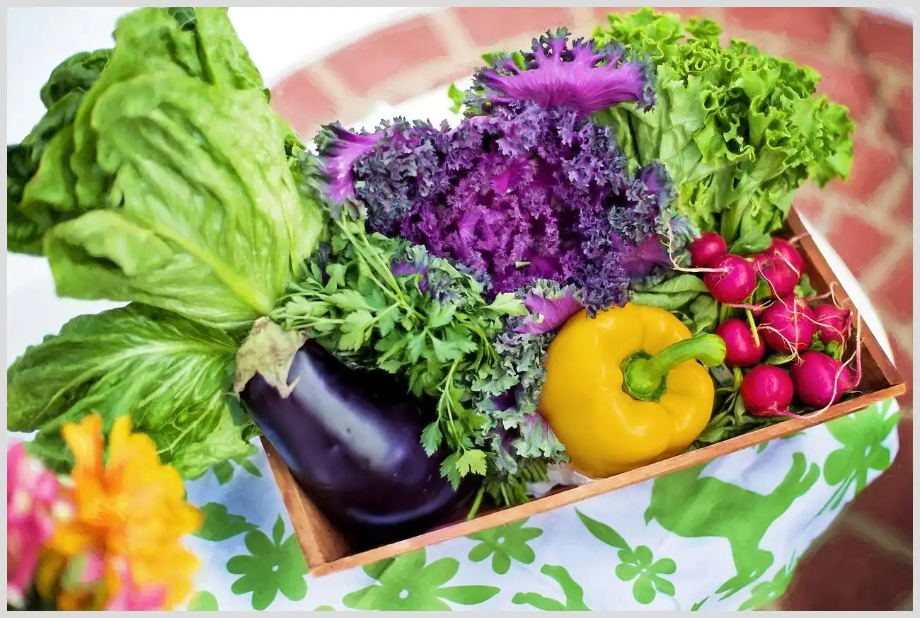 Qué verduras se pueden plantar en el mes de agosto