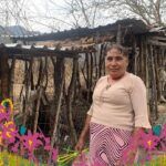 Verduras y flores en tu balcón: ¡Cultiva tu propio oasis!